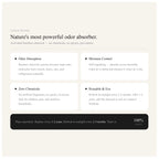 Aeris Home – Bamboo Charcoal Air Purifying Bags