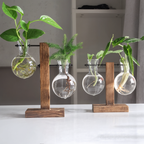 Aeris Home – Botanist Propagation Vase