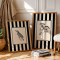 Aeris Home – Botanical Line Art Set